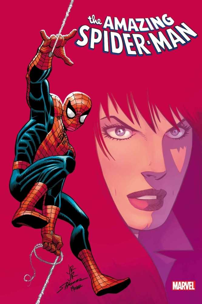 El asombroso Hombre Araña 25