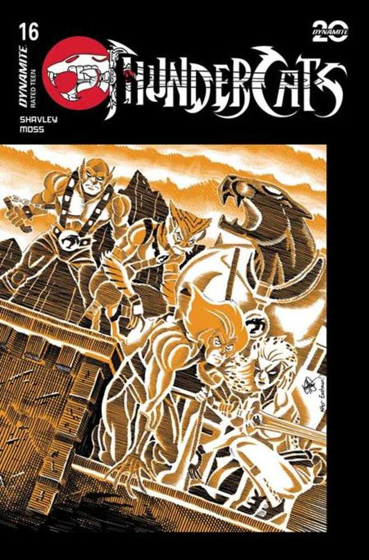 Thundercats #16 Portada G Ken Haeser Tortugas Ninja Adolescentes Mutantes Variante Homenaje