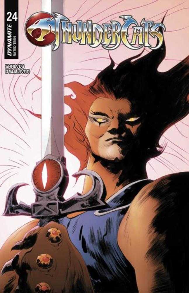 Thundercats #24 Cover C Jae Lee Variant