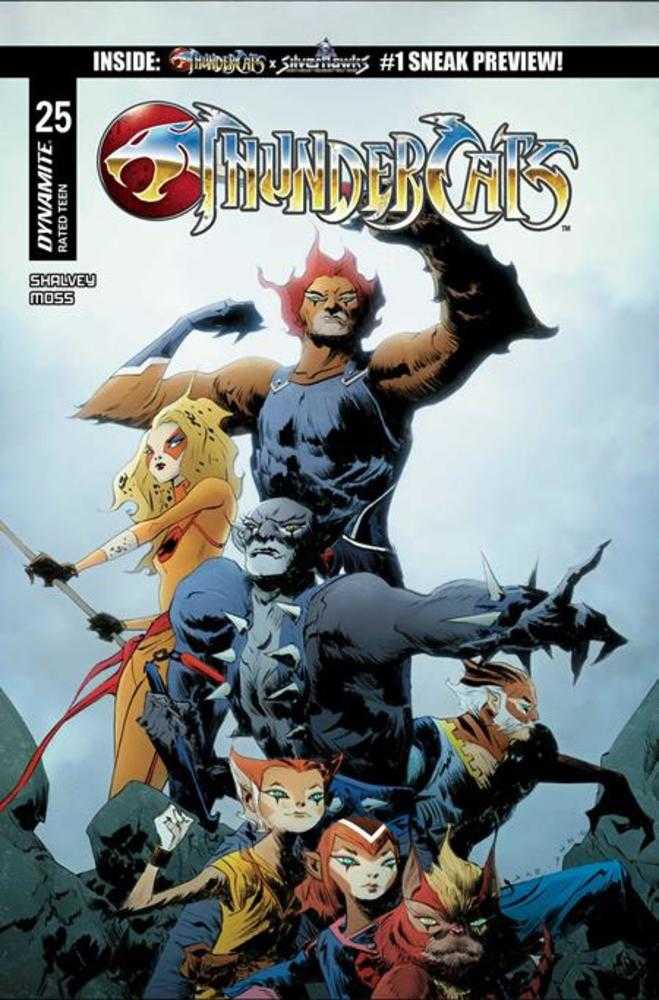 Thundercats #25 Portada C Variante de Jae Lee