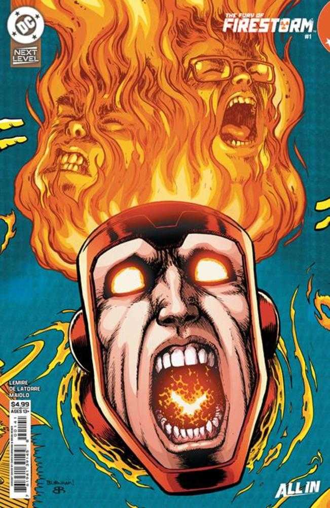 Fury Of Firestorm #1 (De 6) Portada C Chris Burnham Variación de Cartulina