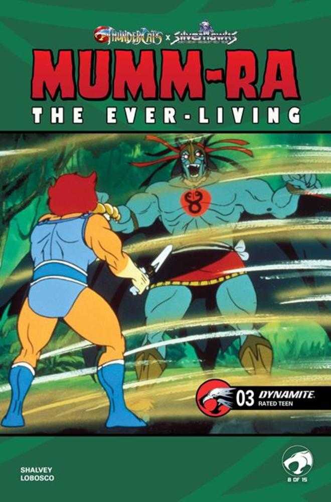 Mumm Ra The Ever Living #3 Cover E Animation Art Variant