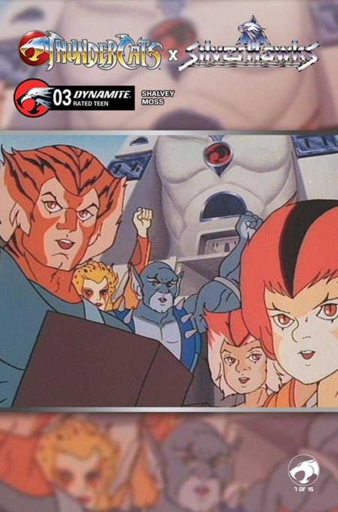 Thundercats X Silverhawks #3 Cover E Animation Art Variant